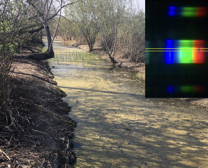 Eutrophication in Orange County: LEGO Spectrophotometer